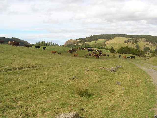 Ruahine - Sunrise Hut 091.jpg